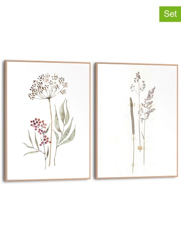 Orangewallz 2er-Set: Gerahmte Kunstdrucke "Dried Flowers and Grasses Set" - (B)30 x (H)40 cm