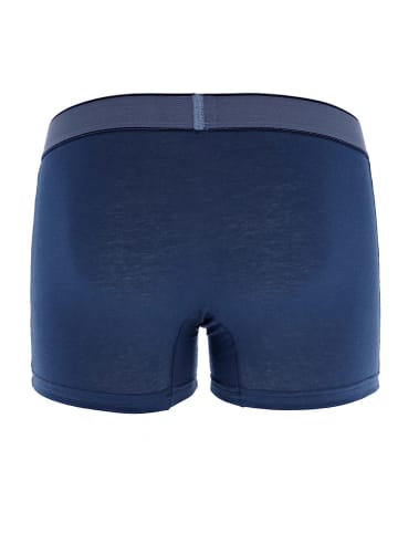 COTONELLA 2er-Set: Boxershorts in Dunkelblau