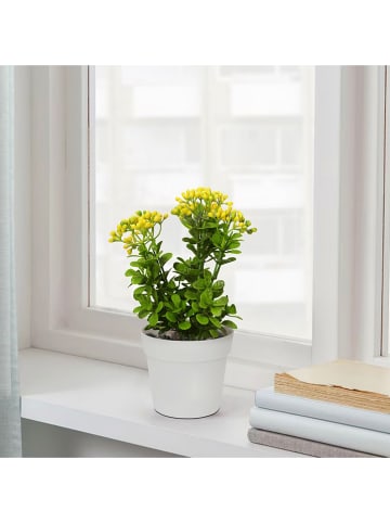 Scandinavia Concept Sztuczna roślina w kolorze zielono-biało-żółtym - wys. 21 cm