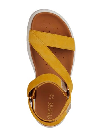 Geox Sandały "Xand" w kolorze żółtym