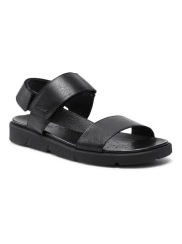 Geox Skórzane sandały "Xand" w kolorze czarnym