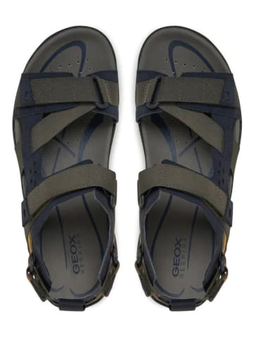 Geox Sandalen "Terreno" kaki