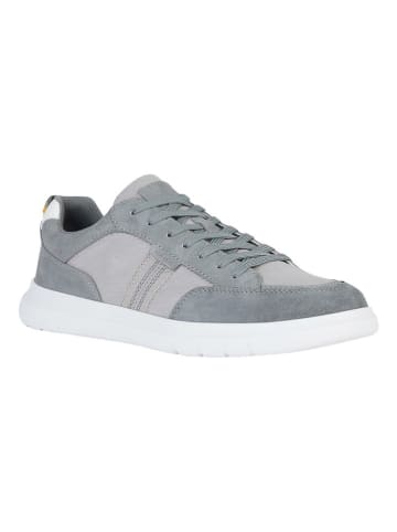 Geox Sneakers "Merediano" in Grau