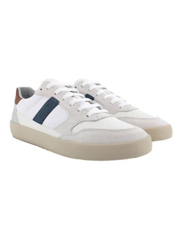 Geox Sneakers "Affile" in Creme/ Bunt