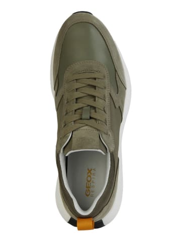 Geox Sneakersy "Volpiano" w kolorze oliwkowym