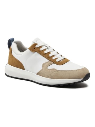 Geox Sneakersy "Volpiano" w kolorze biało-brązowym