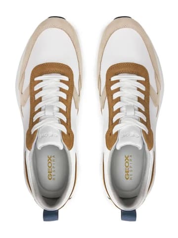 Geox Sneakers "Volpiano" wit/bruin