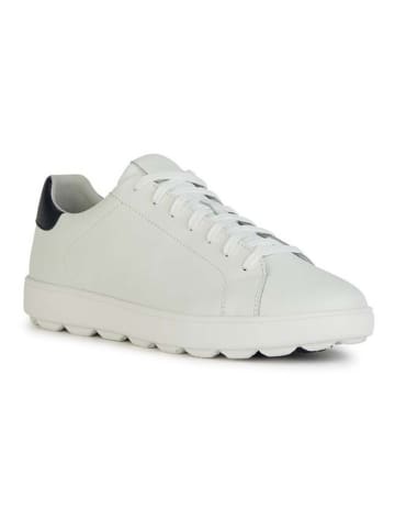 Geox Sneakers "Spherica Ecub" donkerblauw/wit