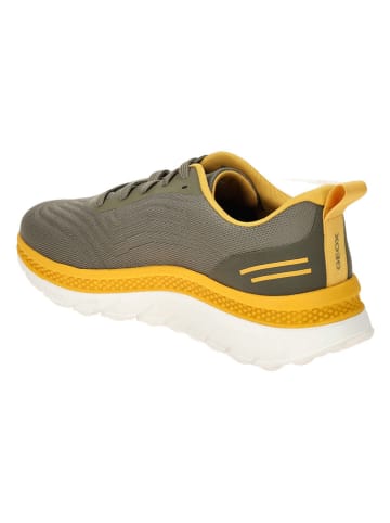 Geox Sneakersy "Spherica Actif" w kolorze żółto-szarym