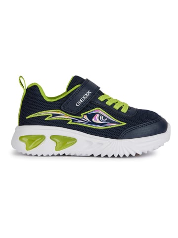 Geox Sneakers "Lights - Assister" donkerblauw/groen