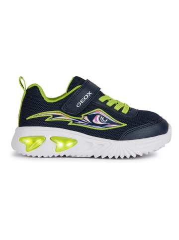 Geox Sneakers "Lights - Assister" donkerblauw/groen