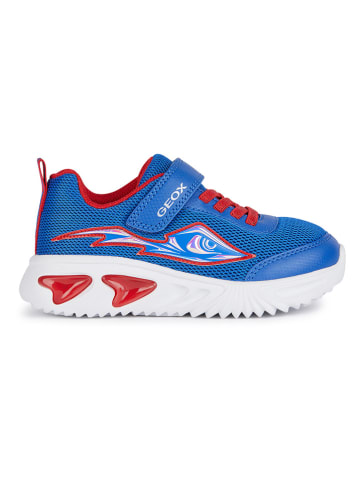 Geox Sneakers "Lights - Assister" in Blau/ Rot