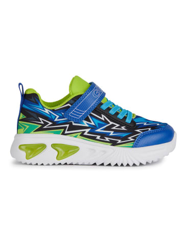 Geox Sneakers "Lights - Assister" blauw/groen
