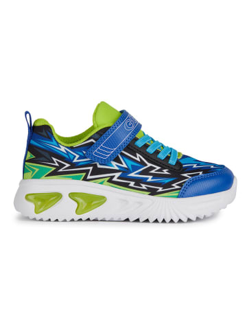 Geox Sneakers "Lights - Assister" in Blau/ Grün