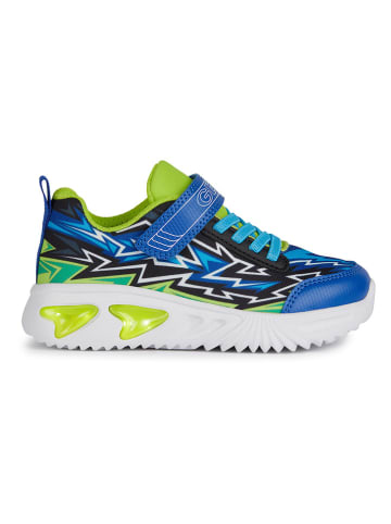 Geox Sneakers "Lights - Assister" in Blau/ Grün