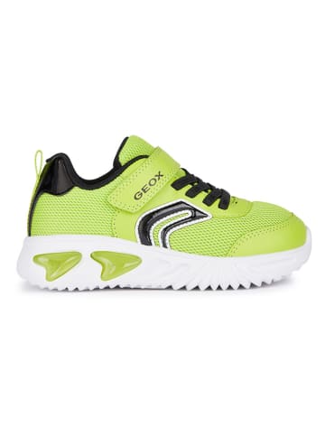 Geox Sneakersy "Lights - Assister" w kolorze limonkowym