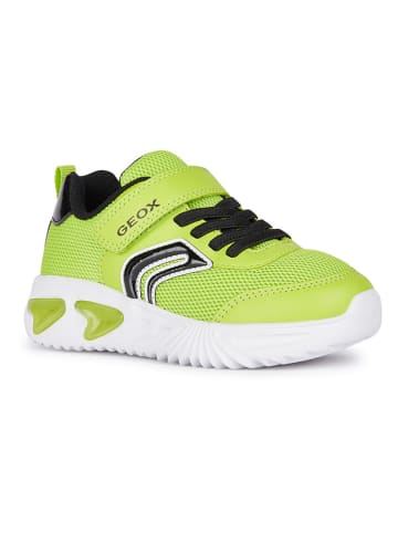 Geox Sneakersy "Lights - Assister" w kolorze limonkowym