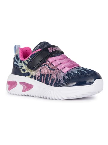 Geox Sneakers "Lights - Assister" in Dunkelblau/ Bunt