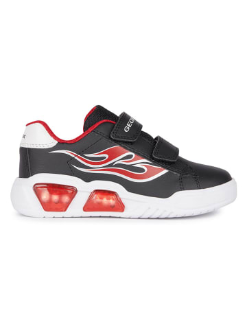 Geox Sneakers "Lights - Illuminus" in Schwarz/ Rot