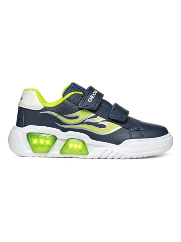 Geox Sneakers "Lights - Illuminus" in Dunkelblau/ Grün