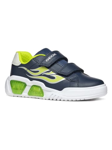 Geox Sneakers "Lights - Illuminus" donkerblauw/groen