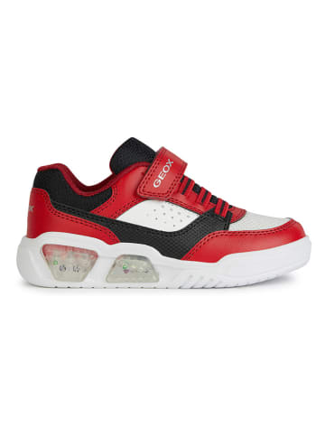 Geox Sneakers "Lights - Illuminus" in Rot/ Schwarz