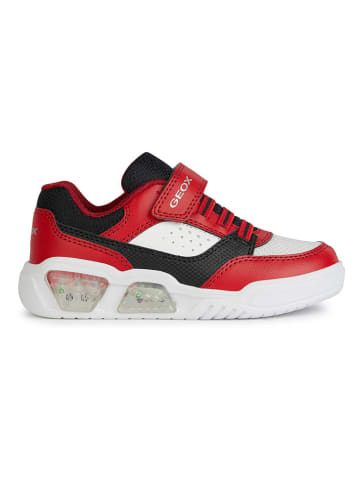 Geox Sneakersy "Lights - Illuminus" w kolorze czerwono-czarnym