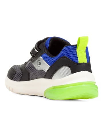 Geox Sneakers "Lights - Ciberdron" donkerblauw/groen