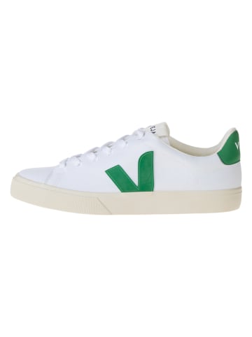 Veja Sneakersy "Campo CA" w kolorze biało-zielonym
