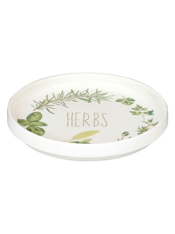IHR Frühstücksteller "Herbs" in Weiß/ Grün - Ø 15,5 cm