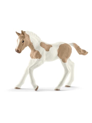 Schleich Figurka "Paint horse foal" do zabawy - 3+