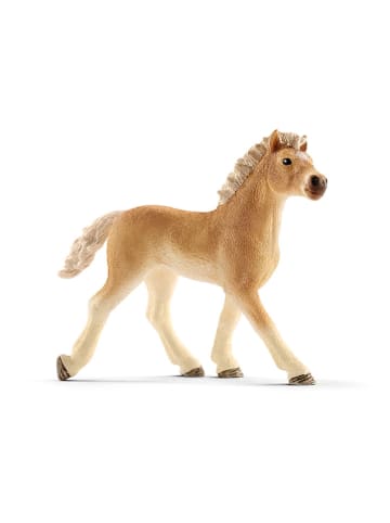 Schleich Spielfigur "Haflinger foal" - ab 3 Jahren