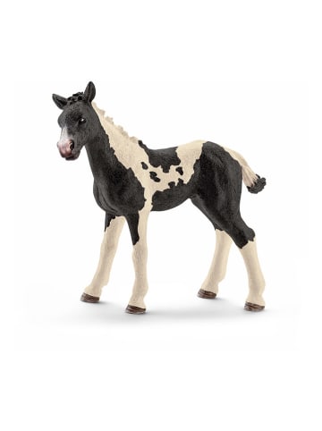 Schleich Figurka "Pinto foal" do zabawy - 3+