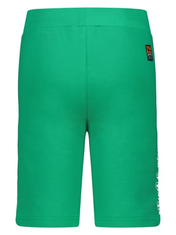 Tygo & Vito Sweatshorts in Grün
