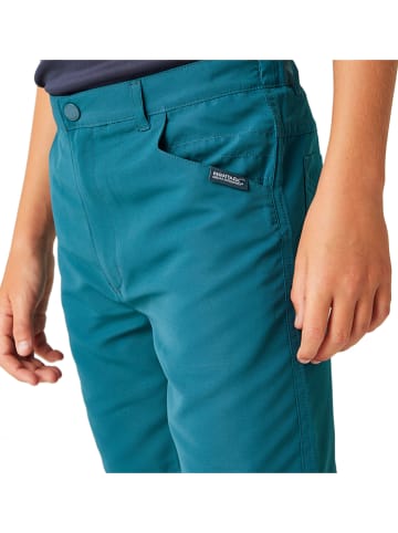 Regatta Funktionsshorts "Sorcer II" in Petrol