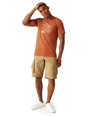 Regatta Koszulka "Cline VIII" w kolorze pomarańczowym
