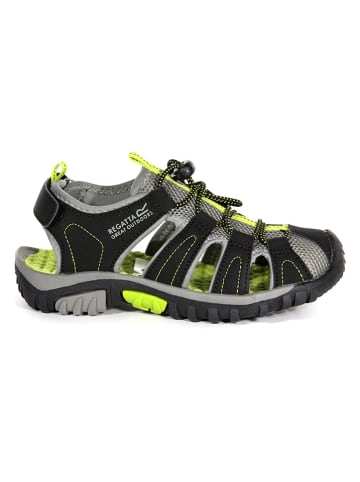 Regatta Trekkingsandalen in Schwarz/ Grün