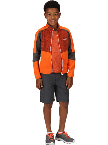 Regatta Softshelljacke "Oberon VII" in Orange