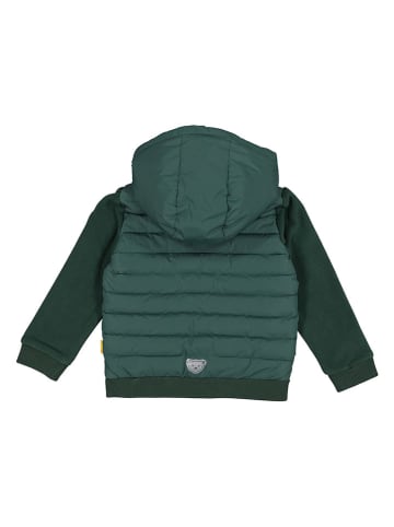 Steiff Steppjacke in Grün