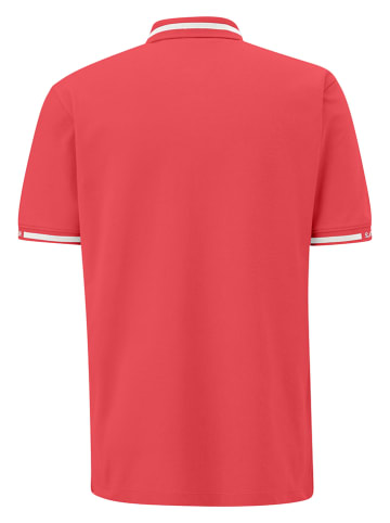 S.OLIVER RED LABEL Koszulka polo w kolorze czerwonym