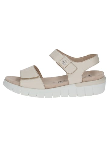 Caprice Leder-Sandalen "Babette" in Beige