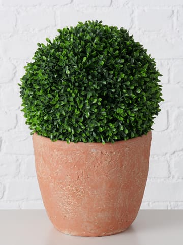 Boltze Sztuczna roślina „Bukszpan” w kolorze zielono-pomarańczowym - wys. 39 cm