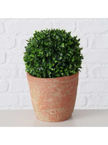 Boltze Kunstplant "Buxus" groen/oranje - (H)24 cm