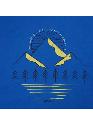 Icepeak Shirt "Leadville" in Blau