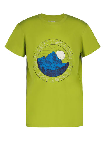 Icepeak Shirt "Leadville" groen