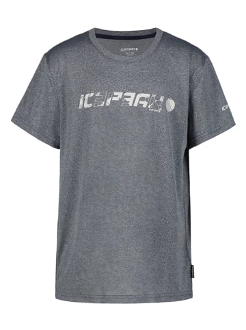Icepeak Functioneel shirt "Leadville" grijs