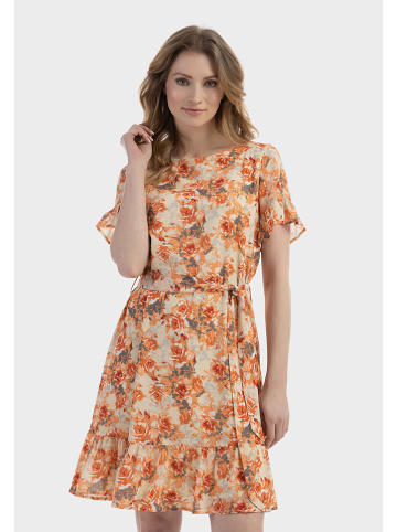 Usha Kleid in Orange