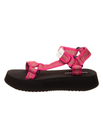 Calvin Klein Sandalen in Pink