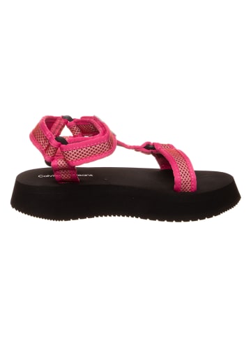 Calvin Klein Sandalen in Pink