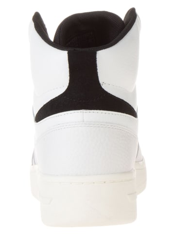 Tommy Hilfiger Shoes Leder-Sneakers in Creme